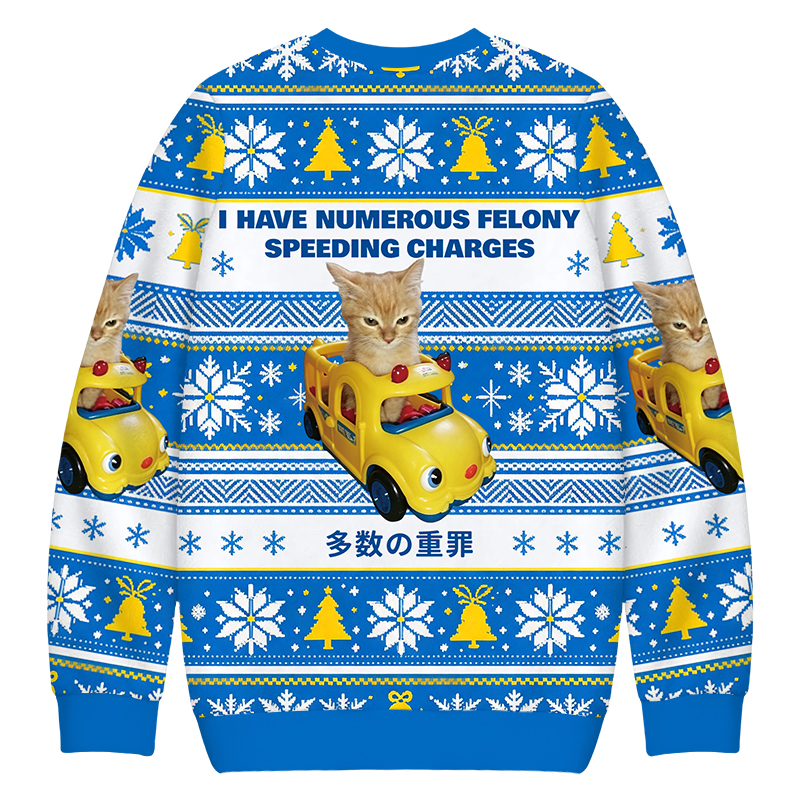 Tokyocanvas I Have Numerous Felonies For Speeding Christmas Ugly Sweatshirt