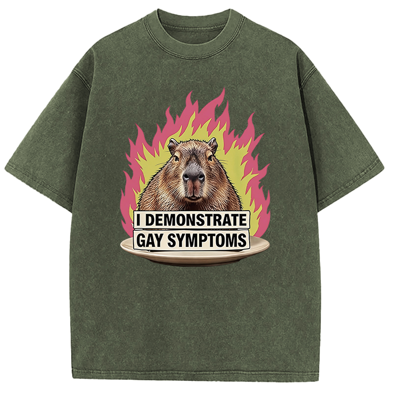 Tokyocanvas I Demonstrate Gay Symptoms Funny Washed T-Shirt