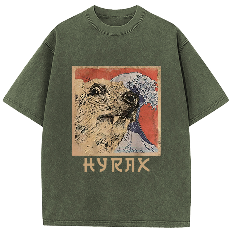 Tokyocanvas Hyrax Japanese Vintage Washed T-Shirt