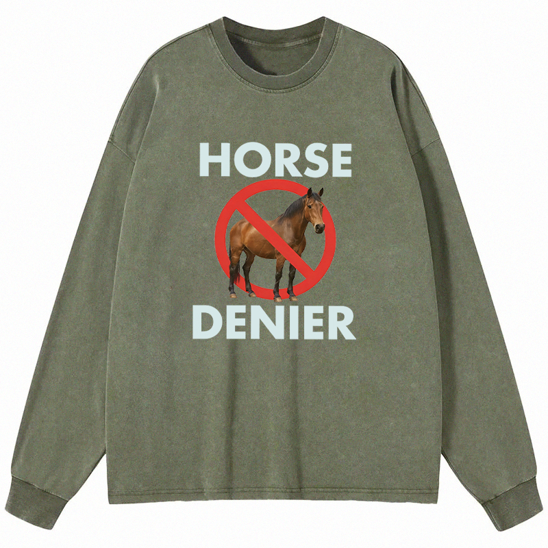 Tokyocanvas Funny Horse Denier Conspiracy Theory Long Sleeve Washed T-Shirt