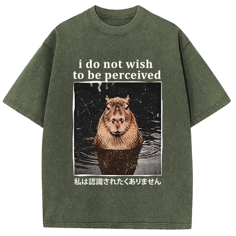 Tokyocanvas I Do Not Wish to Be Perceived Capybara Washed T-Shirt