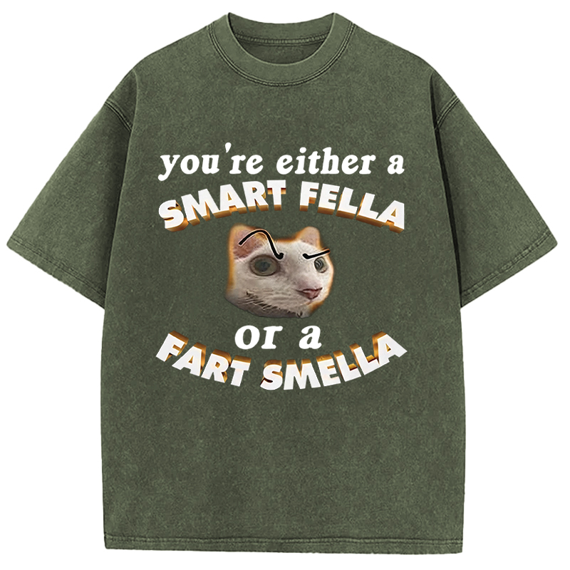 Tokyocanvas You're Either A Smart Fella Or A Fart Smella Funny Cat Washed T-Shirt