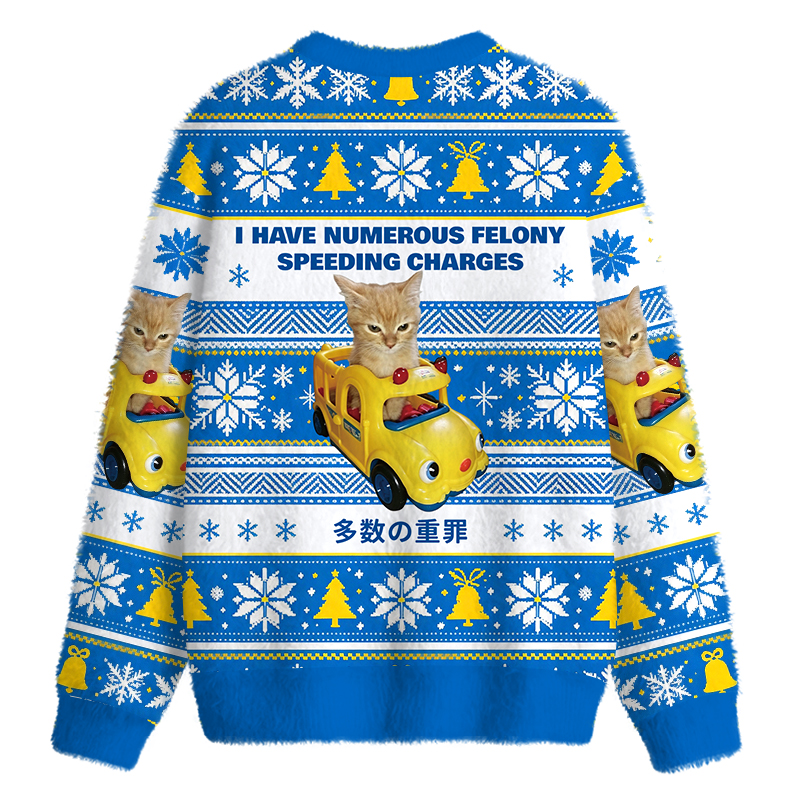 Tokyocanvas I Have Numerous Felonies For Speeding Fuzzy Christmas Ugly Sweatshirt