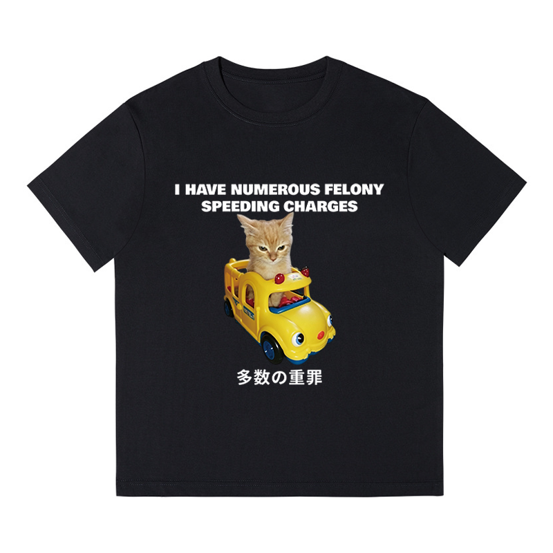 Tokyocanvas I Have Numerous Felonies For Speeding Boxy T-shirt