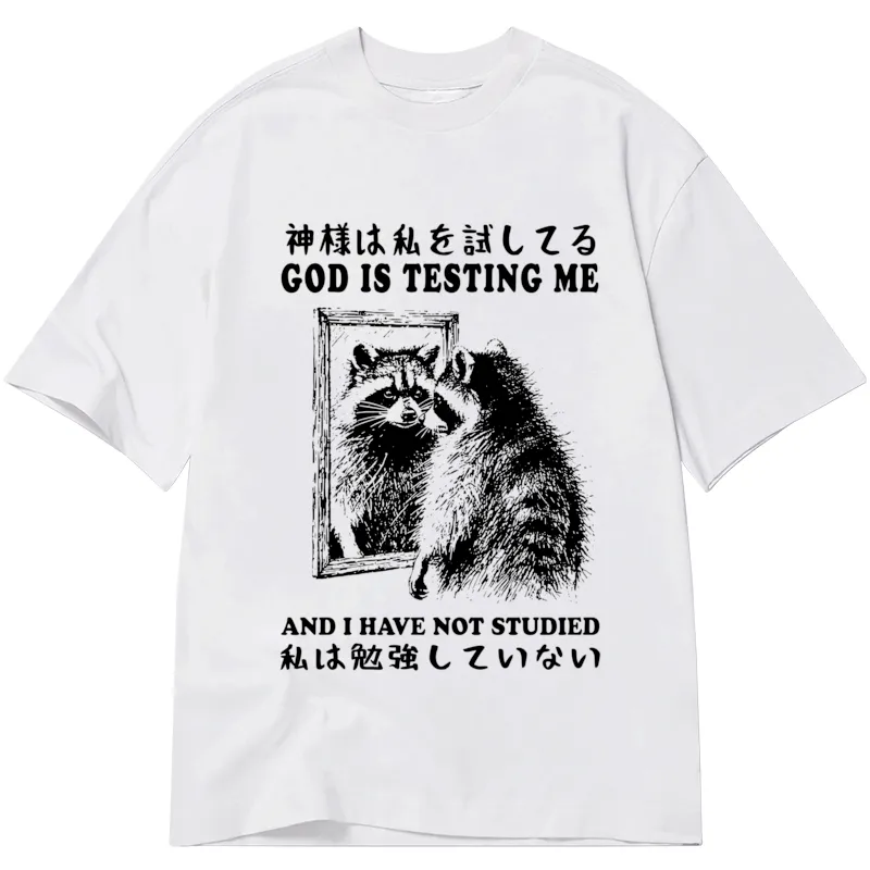 Tokyocanvas Raccoon Not Studied Classic T-Shirt