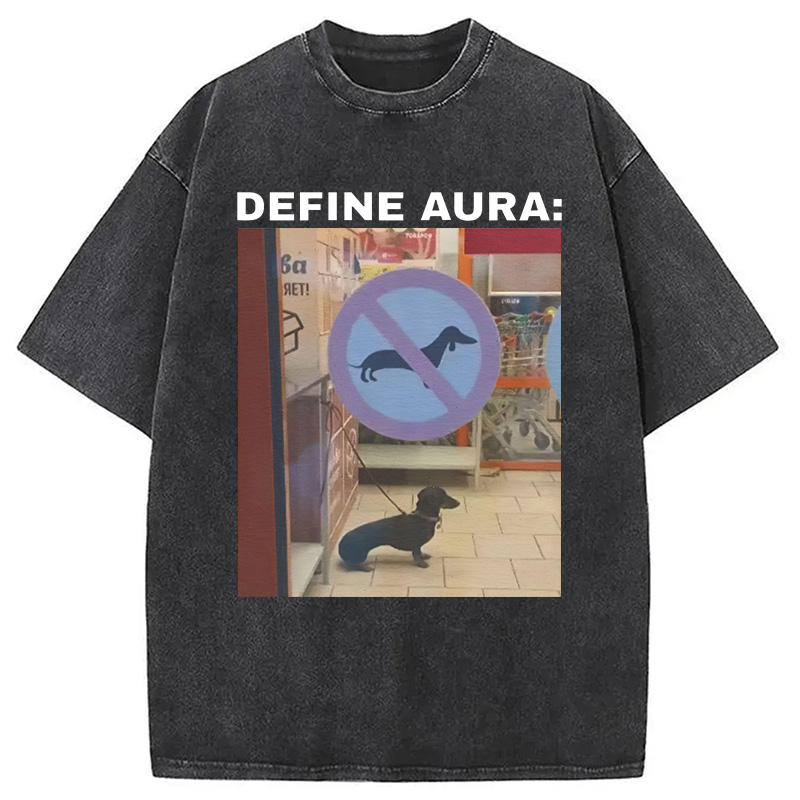 Tokyocanvas Define Aura Funny Washed T-Shirt