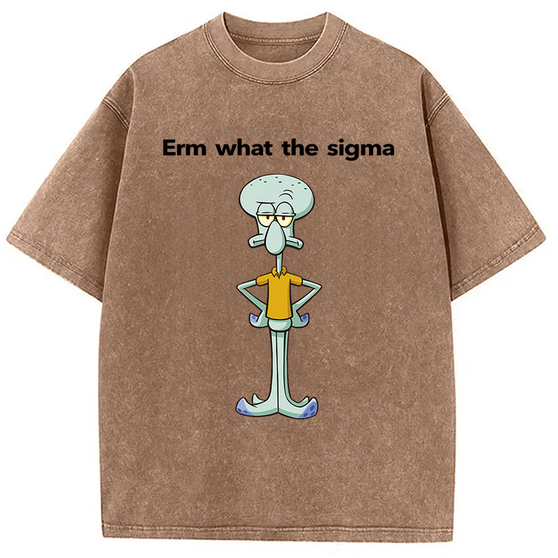 Tokyocanvas Erm What The Sigma Washed T-Shirt