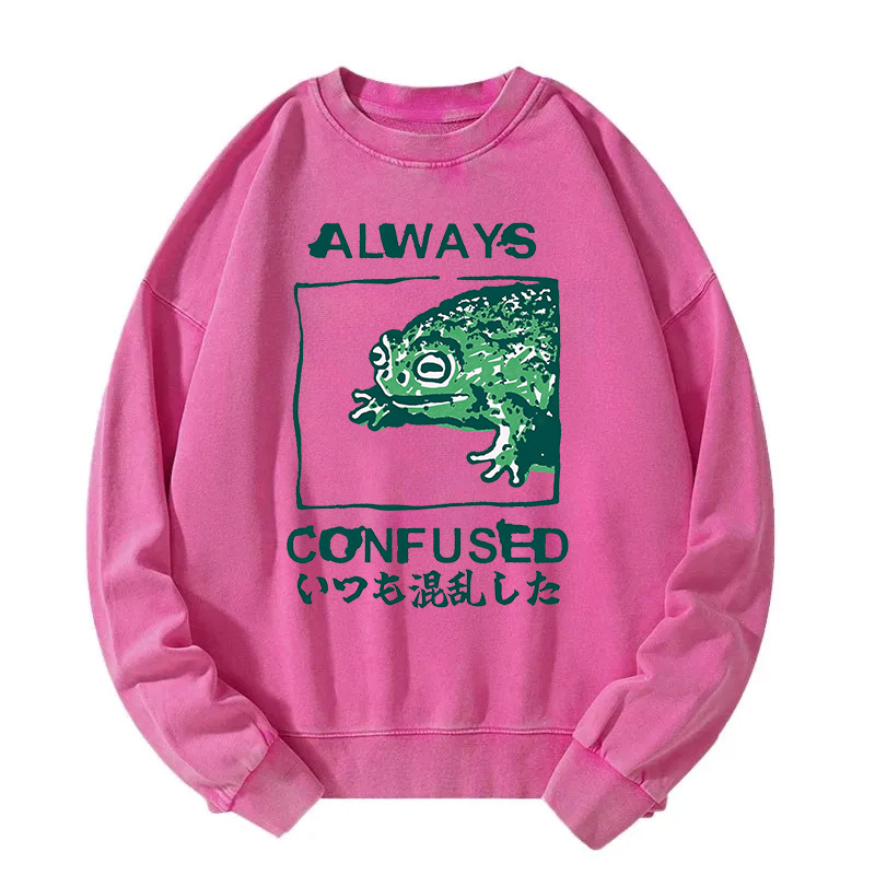 Tokyocanvas Always Confused Frog Washed Sweatshirt