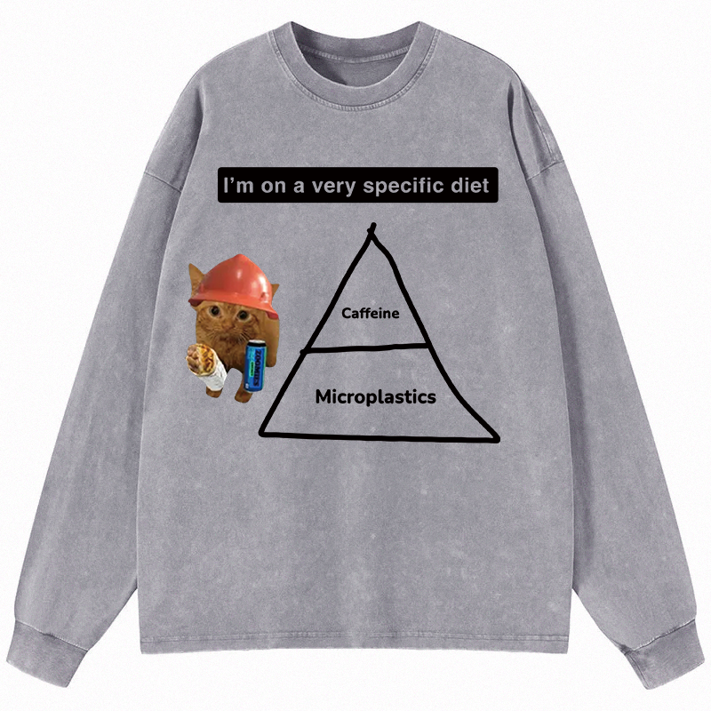 Tokyocanvas I'm On A Very Specific Diet Long Sleeve Washed T-Shirt