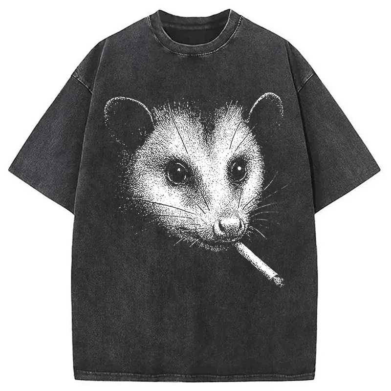 Tokyocanvas Smoking Possum Meme Washed T-Shirt