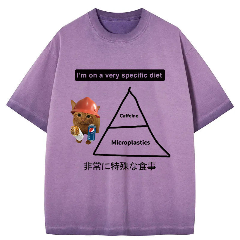 Tokyocanvas A Very Specific Diet Cat Meme Gradient Washed T-Shirt