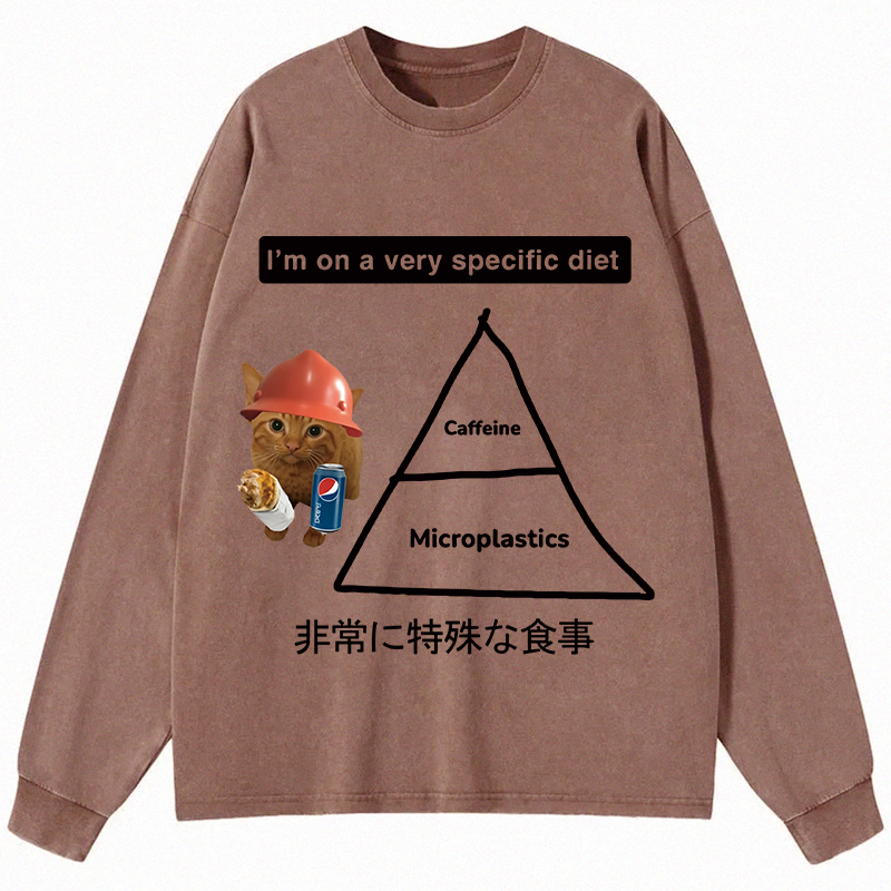 Tokyocanvas A Very Specific Diet Cat Meme Long Sleeve Washed T-Shirt
