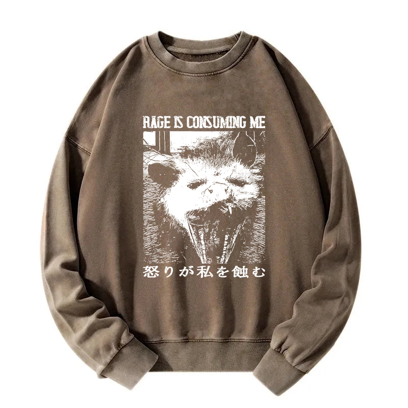 Tokyocanvas Rage Is Consuming Me Opossum Washed Sweatshirt