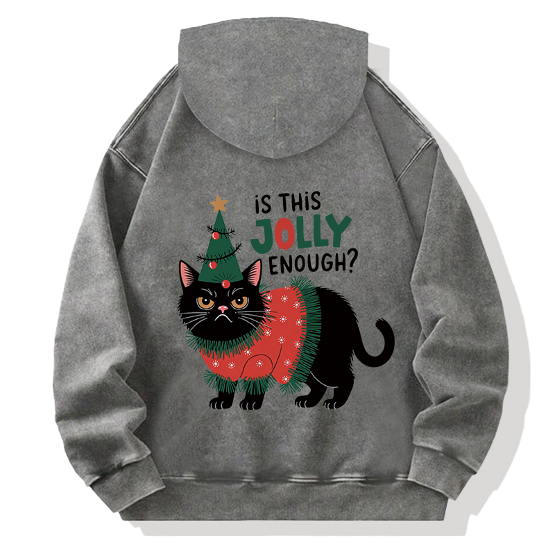 Tokyocanvas Christmas-humor Cat Back Washed Hoodie