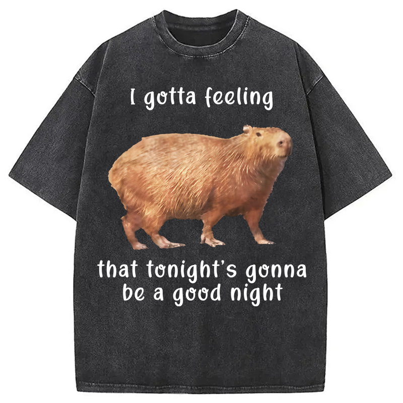 Tokyocanvas Capybara Gotta Feeling Washed T-Shirt