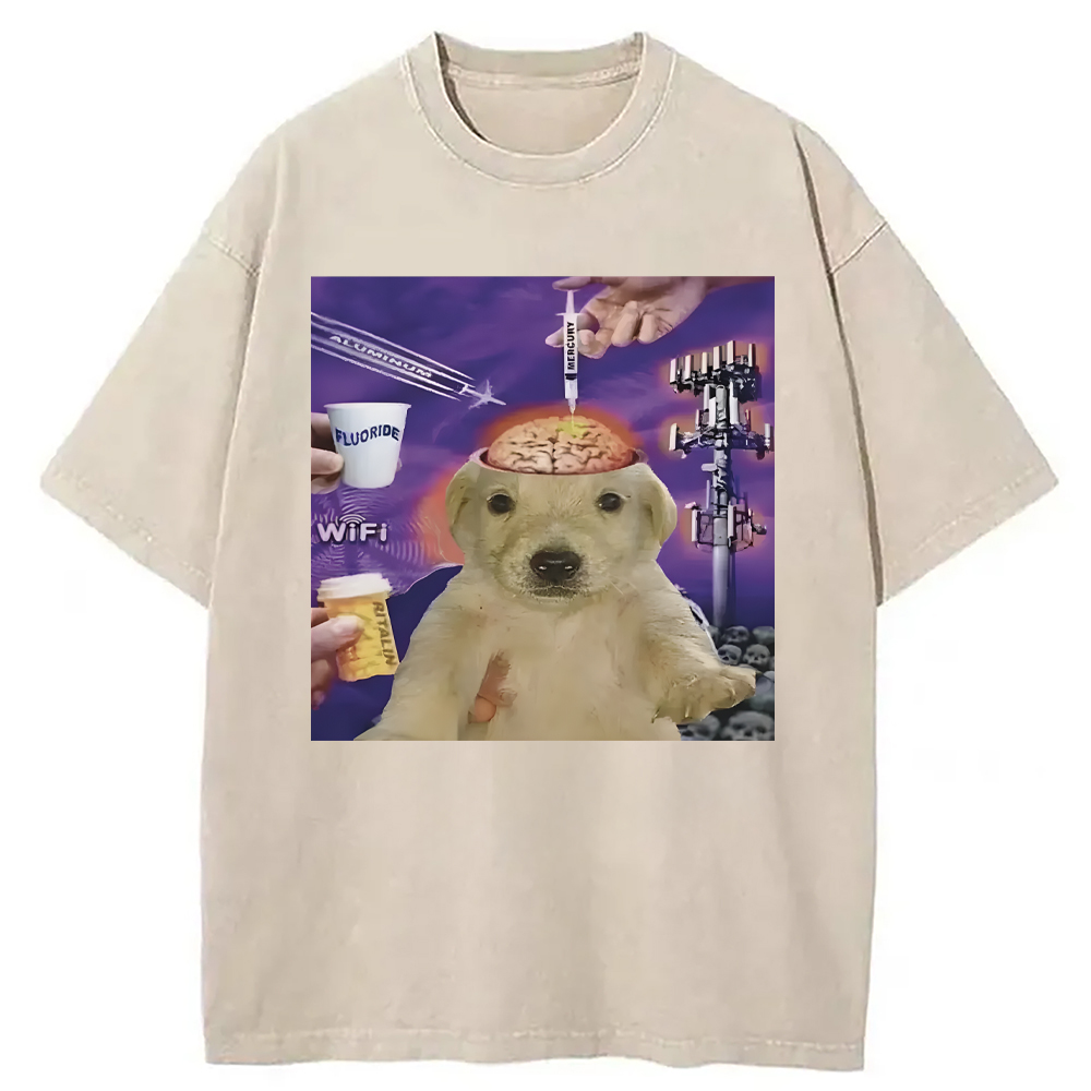 Tokyocanvas Brainwashed Jotchua Meme Washed T-Shirt