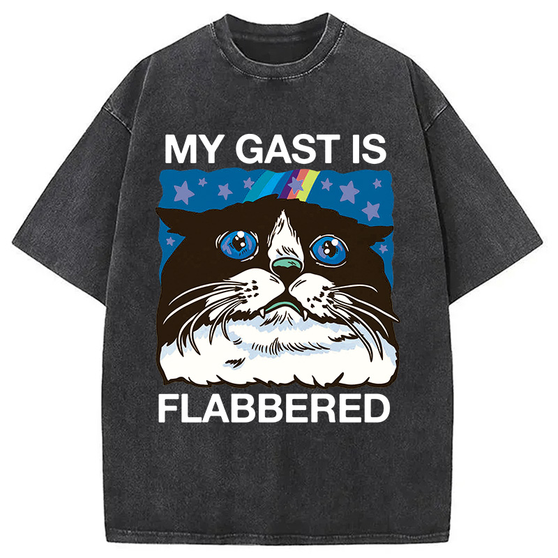 Tokyocanvas My Cat Is Washed T-Shirt