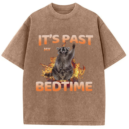 Tokyocanvas It's Past My Bedtime Washed T-Shirt