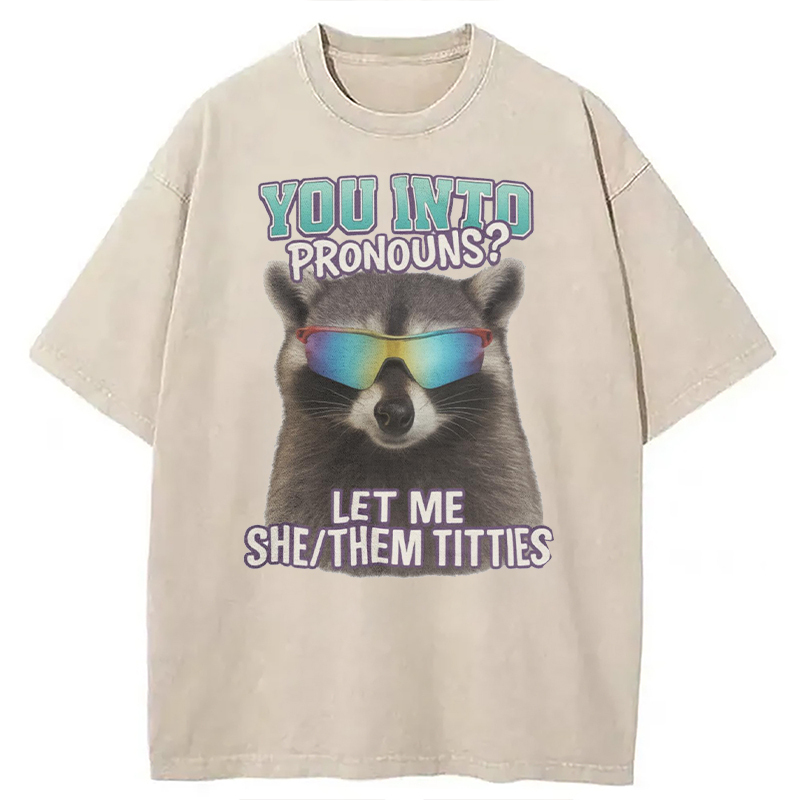 Tokyocanvas You Into Pronouns? Let Me She/Them Titt*es Raccoon Washed T-Shirt