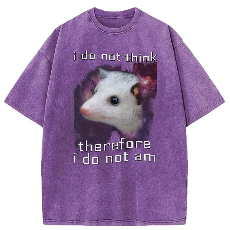 Tokyocanvas Confused Possum Space Washed T-Shirt