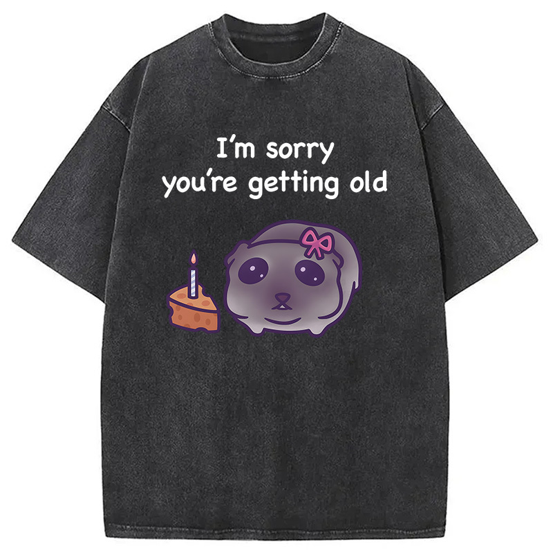 Tokyocanvas Sad Hamster Birthday Meme Washed T-Shirt