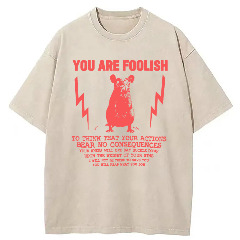 Tokyocanvas You Are Foolish Rat Meme Washed T-Shirt