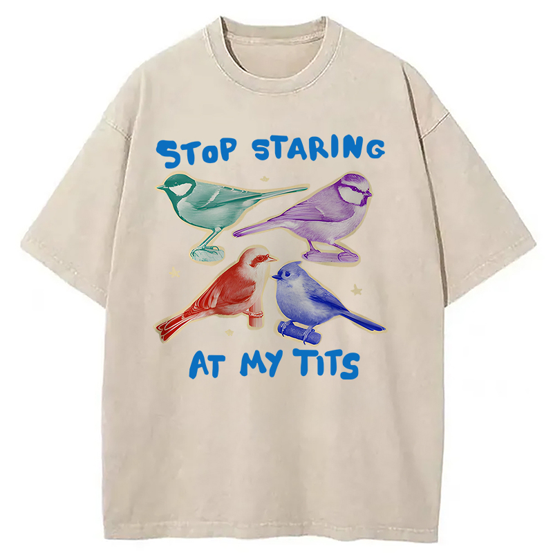 Tokyocanvas Stop Staring At My Tits Washed T-Shirt