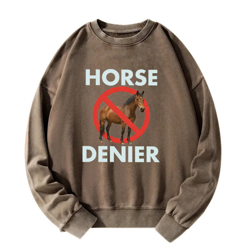 Tokyocanvas Funny Horse Denier Conspiracy Theory Washed Sweatshirt