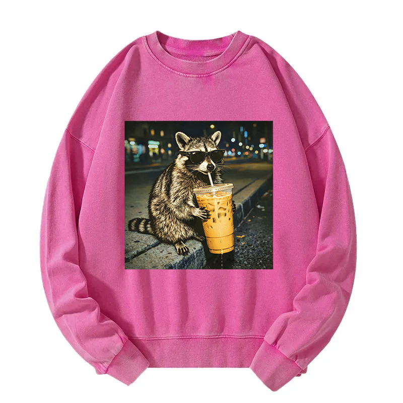 Tokyocanvas Racoon with a Ice Coffee Washed Sweatshirt