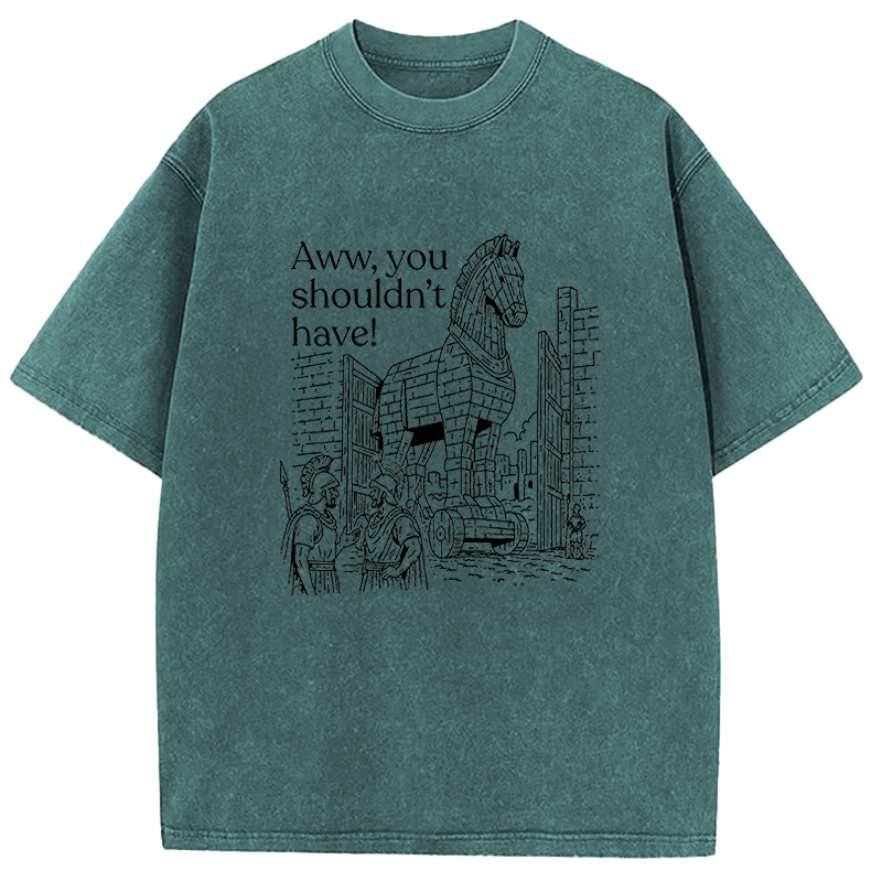Tokyocanvas Aww, You Shouldn't Have! Washed T-Shirt