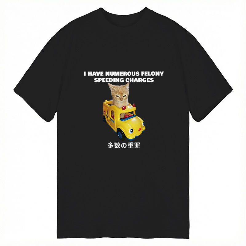 Tokyocanvas I Have Numerous Felonies For Speeding Classic T-Shirt