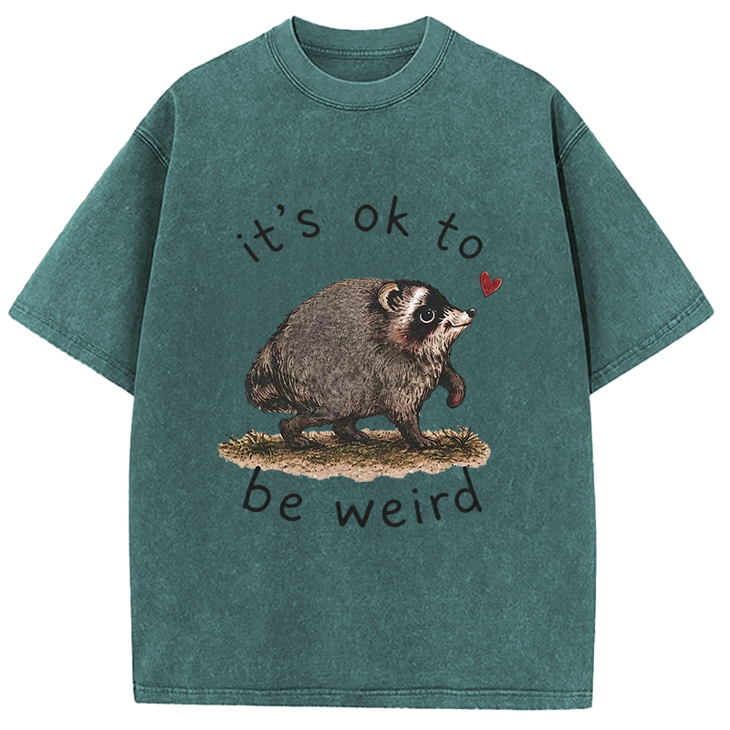 Tokyocanvas It’s OK to Be Weird Washed T-Shirt