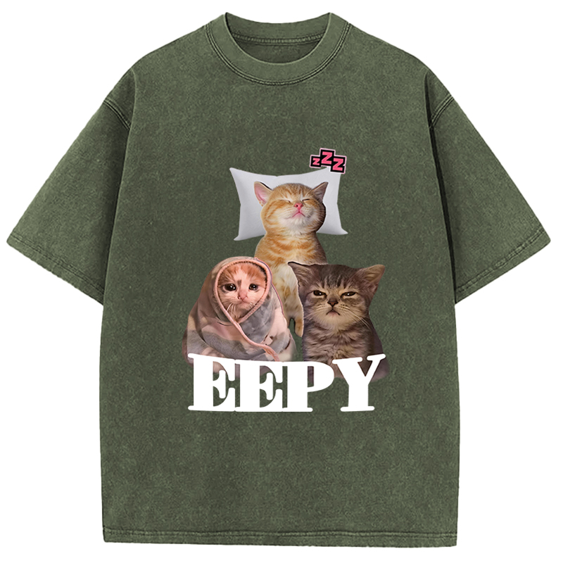 Tokyocanvas Eepy Cat Meme Washed T-Shirt
