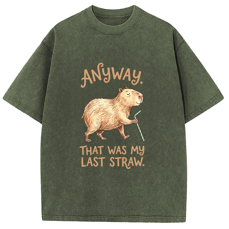 Tokyocanvas Funny Capybara Anyway that was My Last Straw Washed T-Shirt