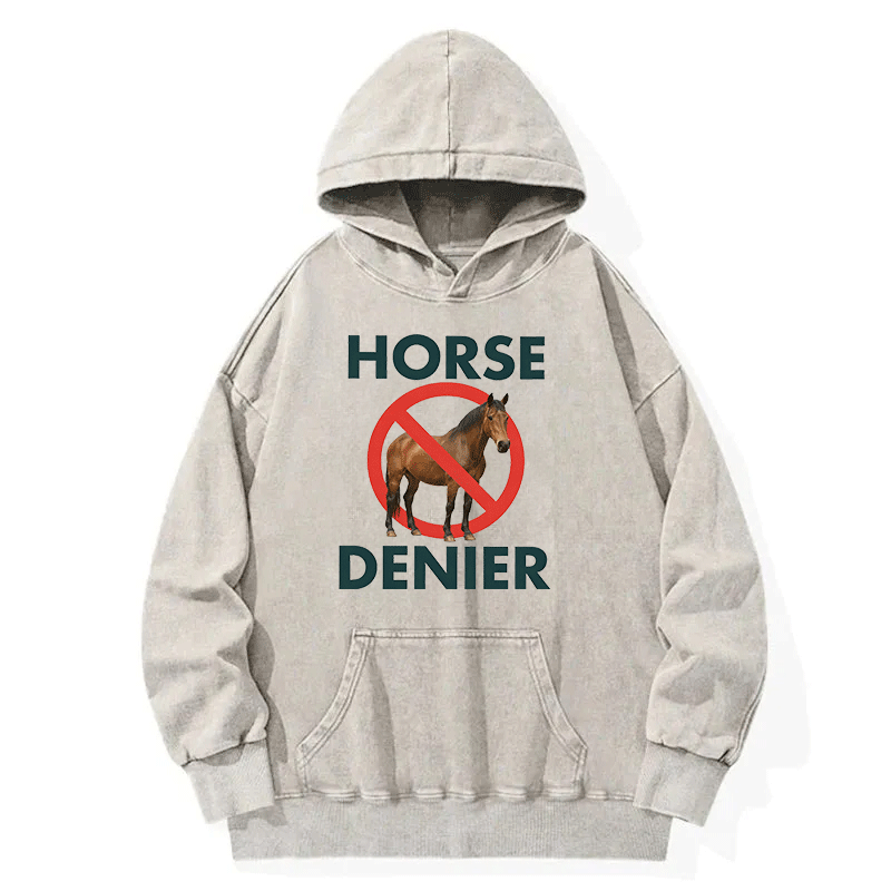 Tokyocanvas Funny Horse Denier Conspiracy Theory Washed Hoodie