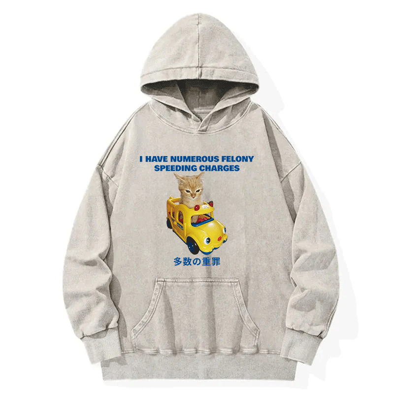 Tokyocanvas I Have Numerous Felonies For Speeding Washed Hoodie
