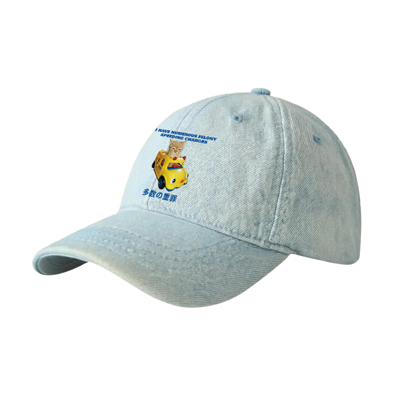 Tokyocanvas I Have Numerous Felonies For Speeding Denim Cap