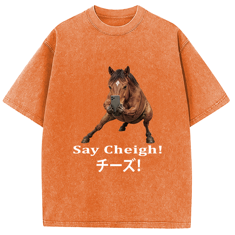 Tokyocanvas Say Cheigh! Horse Meme Washed T-Shirt