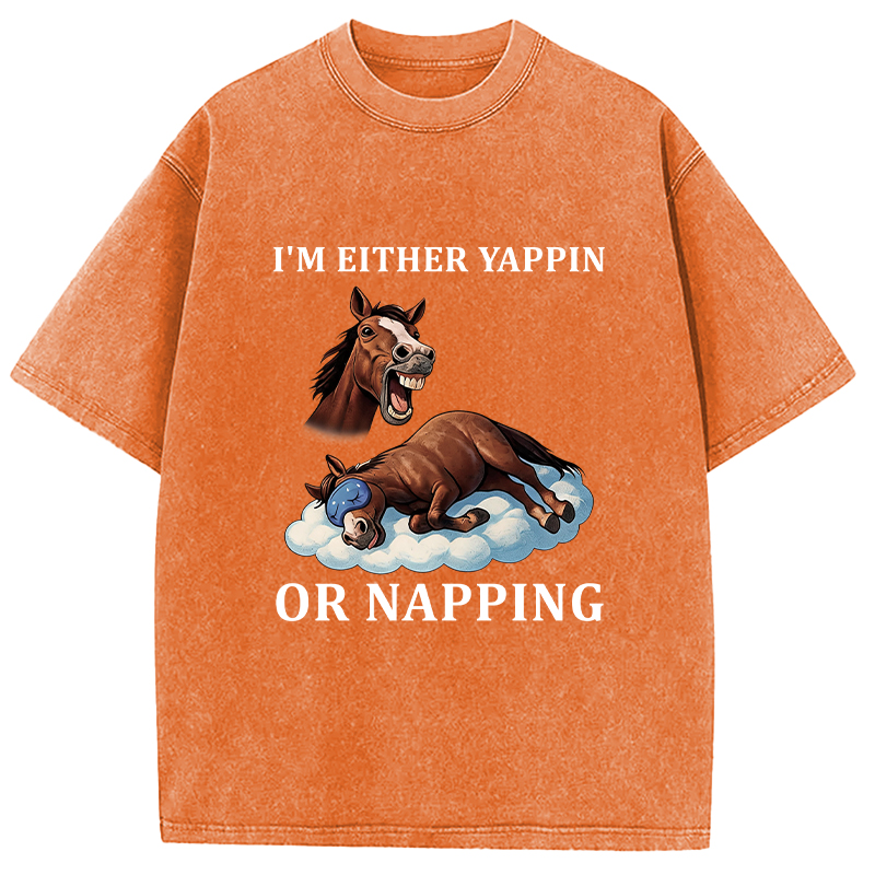 Tokyocanvas Im Either Yappin or Napping  Washed T-Shirt
