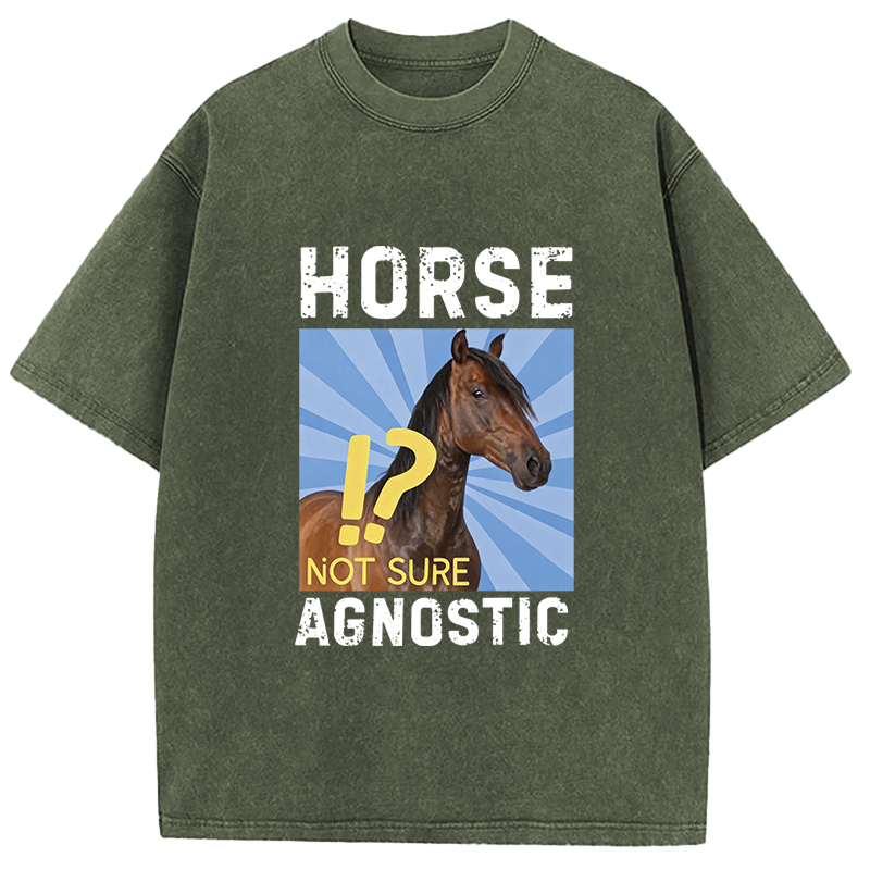 Tokyocanvas Horse Agnostic, Not Sure Essential Washed T-Shirt