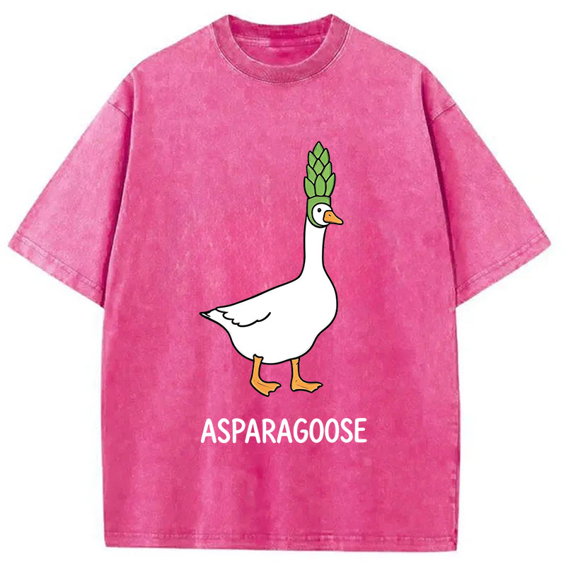Tokyocanvas Asparagoose Washed T-Shirt