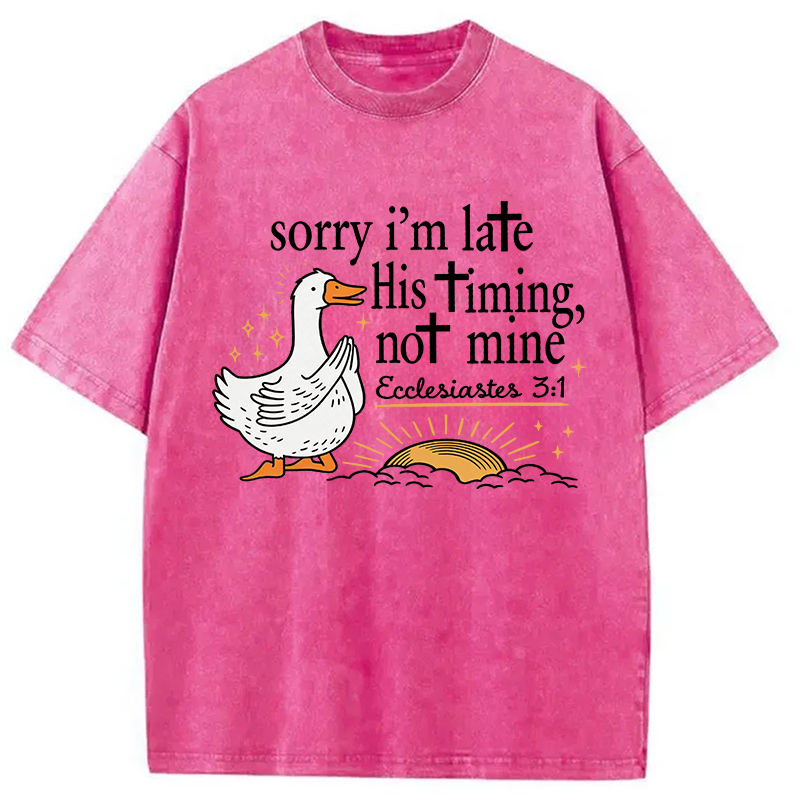 Tokyocanvas His Timing Not Mine Goose Washed T-Shirt