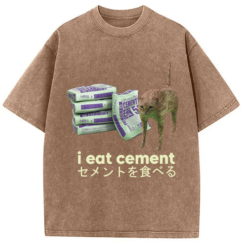 Tokyocanvas Funny Internet Cement Cat Washed T-Shirt
