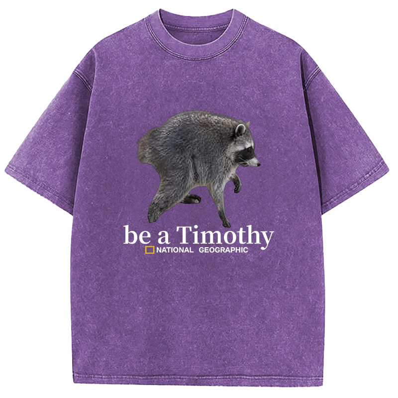 Tokyocanvas Be a Jimothy Washed T-Shirt