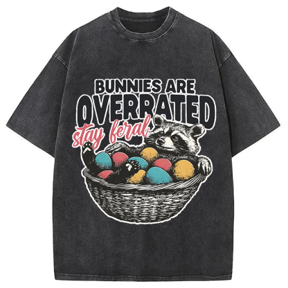 Tokyocanvas Funny Easter Raccoon Washed T-Shirt
