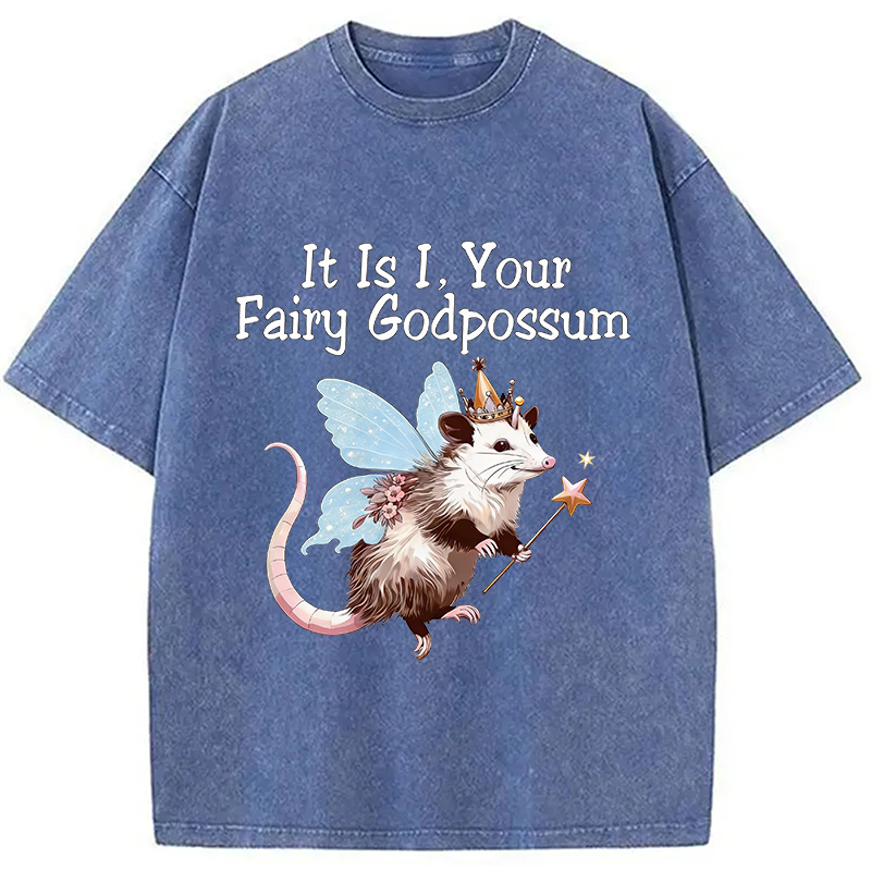 Tokyocanvas It Is I Your Fairy Godpossum Washed T-Shirt