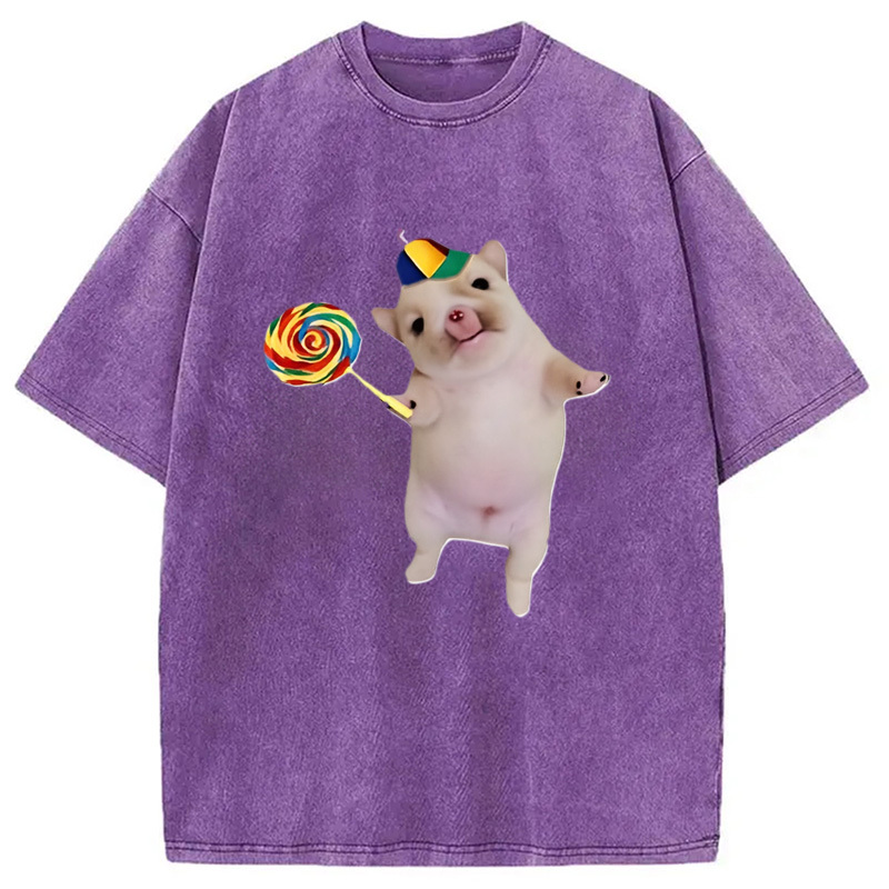 Tokyocanvas Funny Silly Dog with Lollipop Meme Washed T-Shirt