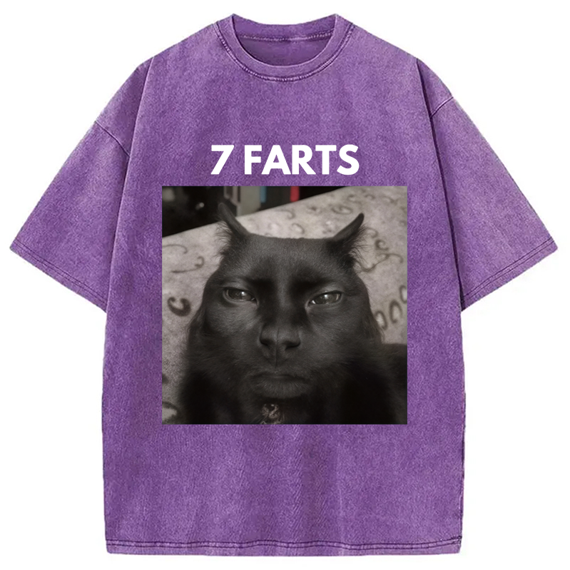 Tokyocanvas 7 Farts Silly Meme Cat Washed T-Shirt
