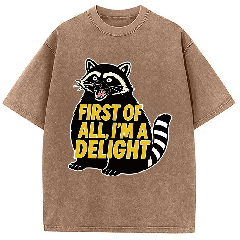 Tokyocanvas First of All I'm a Delight Raccoon Washed T-Shirt