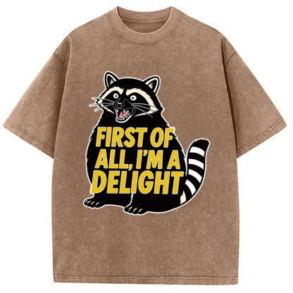 Tokyocanvas First of All I'm a Delight Raccoon Washed T-Shirt